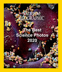 Best Science Images 2020: NATIONAL GEOGRAPHIC