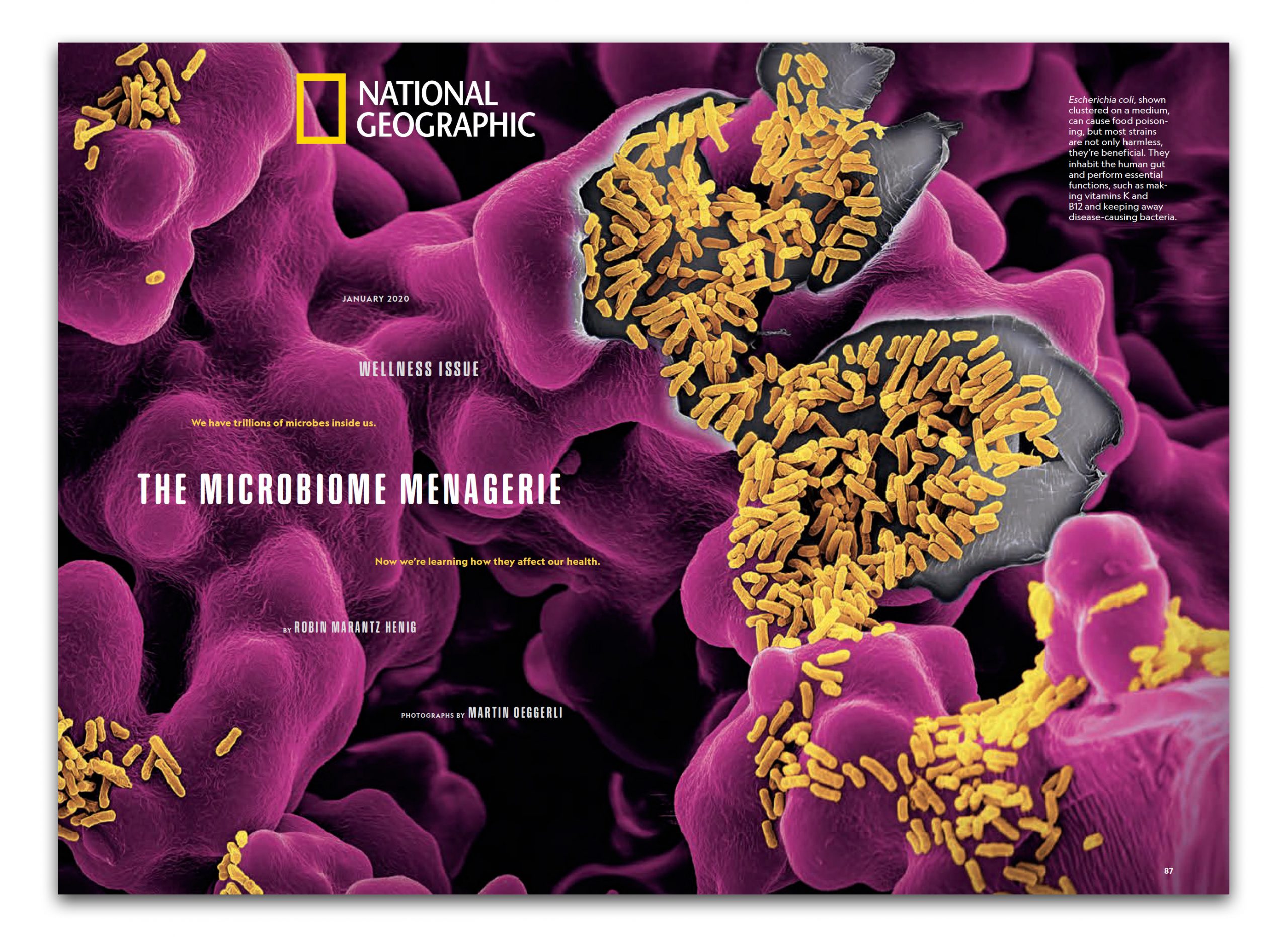 NatGeo-Proof_layout-Oeggerli-2019