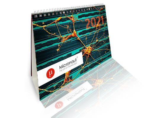 ©-Micronaut-Calendar-2021-mini