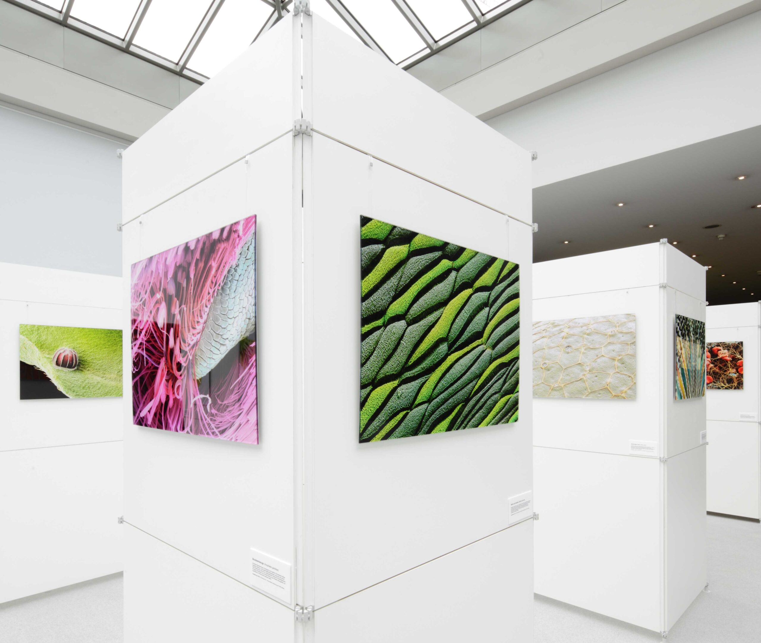 Microstructures-ONE-Exhibition Example Leverkusen-9702