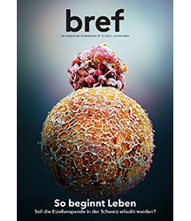 bref Magazin – Cover Article: Hatching Human Embryo!